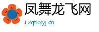 凤舞龙飞网